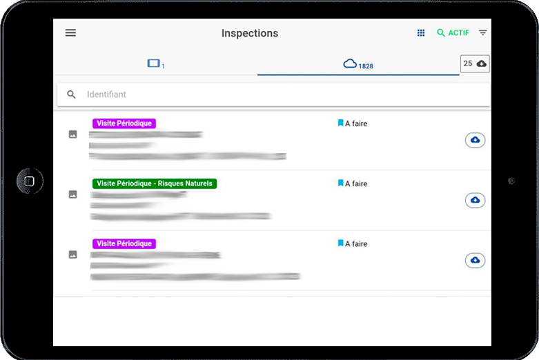 digital asset inspection