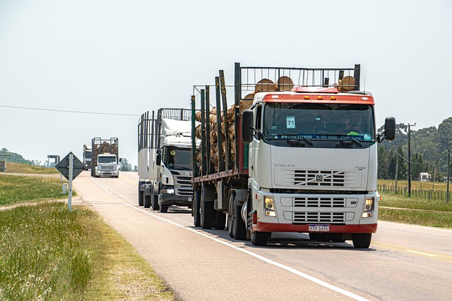 transporte especial